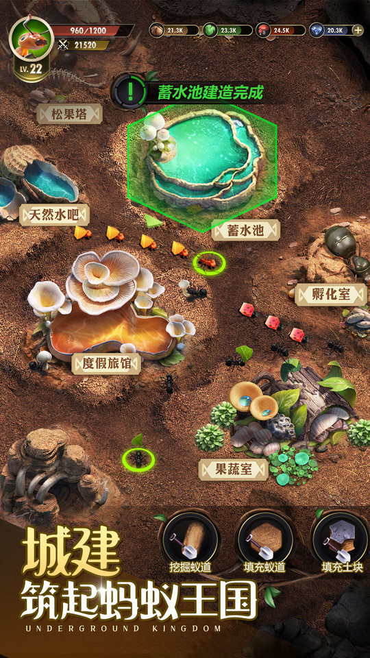 小小蚁国37游戏官网  v1.49.0图3