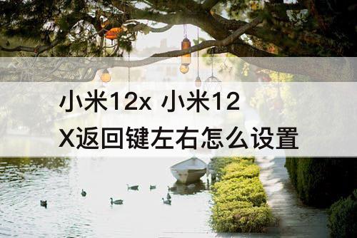 小米12x 小米12X返回键左右怎么设置