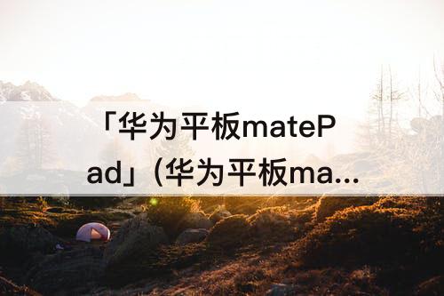 「华为平板matePad」(华为平板matepadpro11参数)