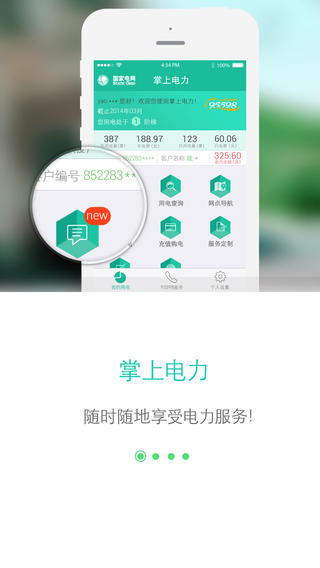 网上国网2.4.0  v2.0.5图2