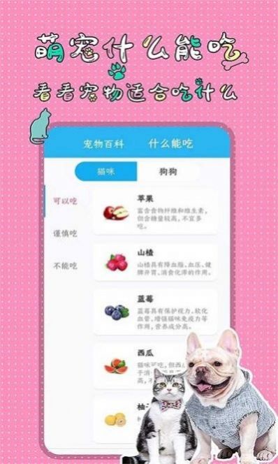 萌宠交流翻译器  v1.3.7图3