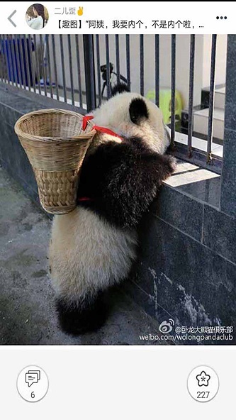 柚次元下载官方