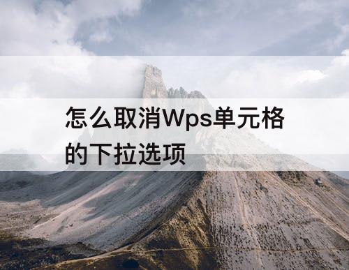 怎么取消Wps单元格的下拉选项